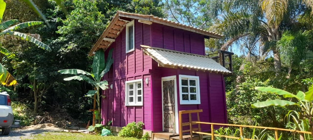 Violeta Aquarela Bombinhas Vila Exterior foto